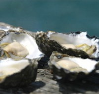 Jim Wilds Oyster Service - Holiday Cairns