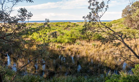 Burrawang Track - Conjola Beach To Buckleys Point - Holiday Cairns 1