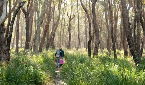 Nerindillah Lagoon Walking Track - Holiday Cairns 3