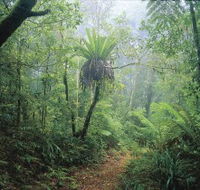 Wagawn - Holiday Cairns