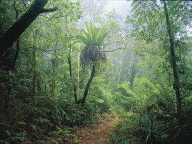 Wagawn - Holiday Cairns 0
