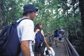 Wagawn - Holiday Cairns 1