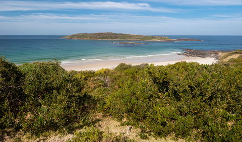 Murramarang Aboriginal Area - Holiday Cairns 0