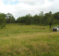 Numinbah Valley Adventure Trails - Holiday Cairns