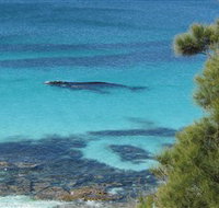 Jervis Bay Marine Park - Holiday Cairns