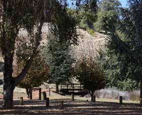 Oak Grove Walk, Balingup - Holiday Cairns 2