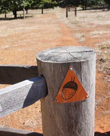 Oak Grove Walk, Balingup - Holiday Cairns 3