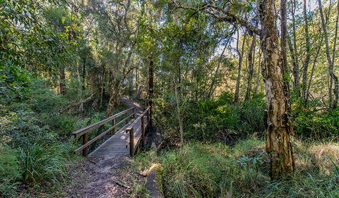 Dawson River Walking Track - Holiday Cairns 1
