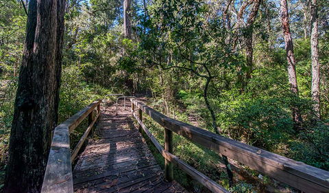 Dawson River Walking Track - Holiday Cairns 3