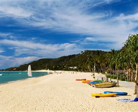 Tangalooma Dolphin Feeding - Holiday Cairns 2
