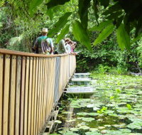 Rocky Creek Dam - Holiday Cairns