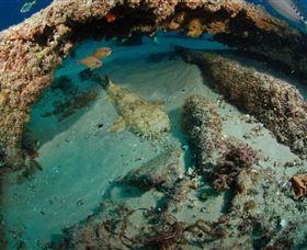 Aarhus Dive Site - Holiday Cairns 3