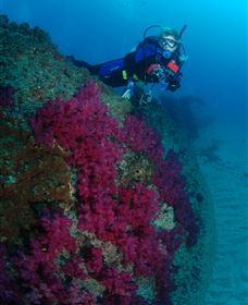 Aarhus Dive Site - Holiday Cairns 2