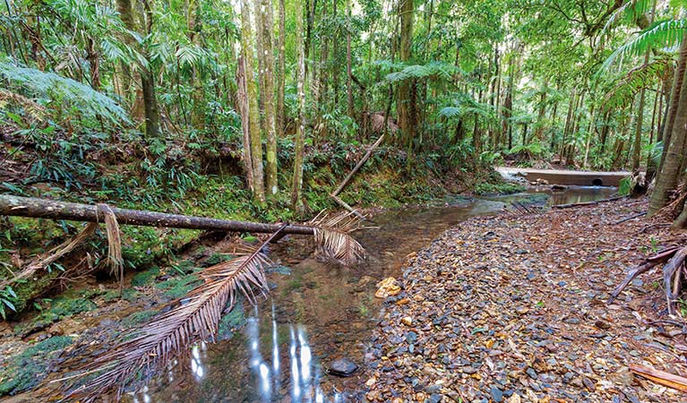 Karangi NSW Holiday Cairns
