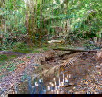 Ulidarra National Park - Holiday Cairns