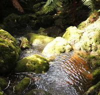 South East Forests National Park - Holiday Cairns