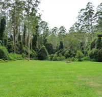 Kerewong State Forest - Holiday Cairns