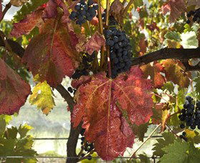 Mimosa Wines - Holiday Cairns 1