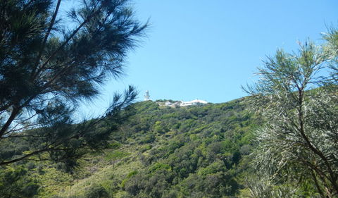 Jack Perkins Walking Track - Holiday Cairns 3