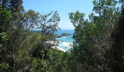 Jack Perkins Walking Track - Holiday Cairns 1