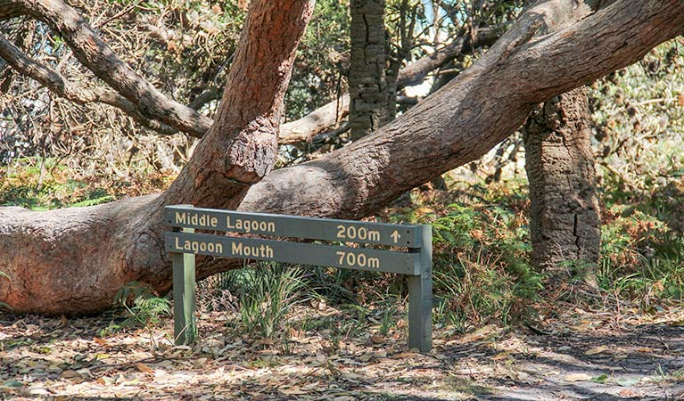 Reedy Swamp NSW Holiday Cairns