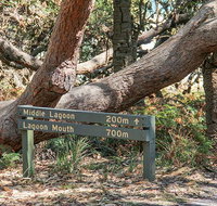 Middle Lagoon walking track - Holiday Cairns