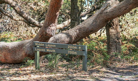 Middle Lagoon Walking Track - Holiday Cairns 0