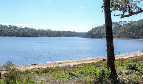 Middle Lagoon Walking Track - Holiday Cairns 1
