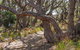 Middle Lagoon Walking Track - thumb 2