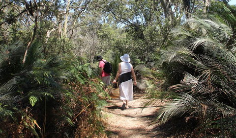 Nelson Lagoon - Holiday Cairns 0