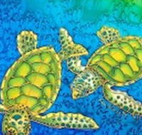 Sea Silks Gallery - Holiday Cairns