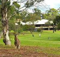 Pambula Merimbula Golf Club - Holiday Cairns