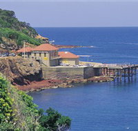 Merimbula Aquarium - Holiday Cairns
