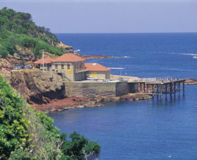 Merimbula Aquarium - Holiday Cairns 0
