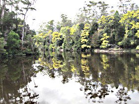Arthur River TAS Holiday Cairns