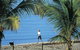 Exmouth Town Beach - thumb 1