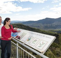 Whyte Hills Lookout - Holiday Cairns