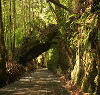 Philosopher Falls - Holiday Cairns