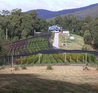 Motton Terraces - Holiday Cairns