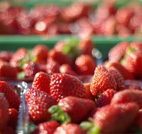 Turners Beach Berry Patch - Holiday Cairns