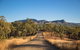 Rockhampton To Carnarvon Gorge Four Night Drive - thumb 7