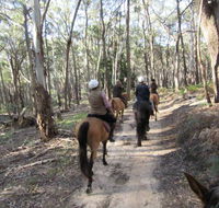 Silver Brumby Trails - Holiday Cairns