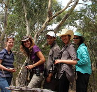 Echidna Walkabout Nature Tours - Holiday Cairns
