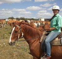 Myella Farm Stay Tours - Holiday Cairns