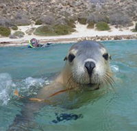 Calypso Star Charters - Holiday Cairns