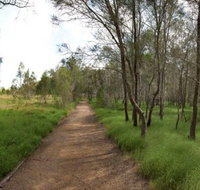 Billai dhagun Circuit Place of She-Oaks - Holiday Cairns