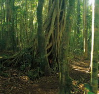 Tullawallal circuit - Holiday Cairns