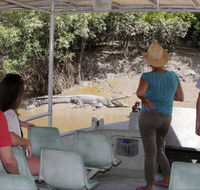 Whitsunday Crocodile Safari - Holiday Cairns