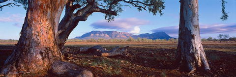 Nissarana Galleries Noosa - Holiday Cairns 1