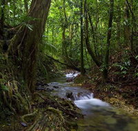 Trek North - Holiday Cairns